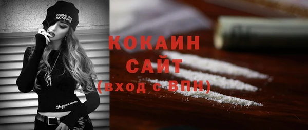 шишки Армянск