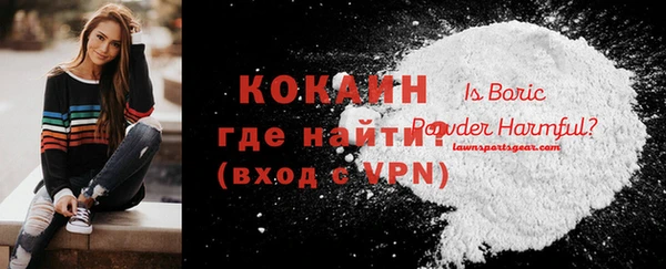 шишки Армянск