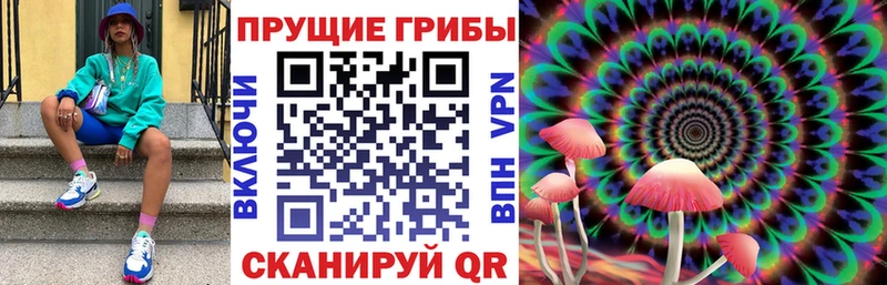 Галлюциногенные грибы прущие грибы  Унеча 